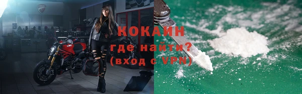 дживик Арсеньев