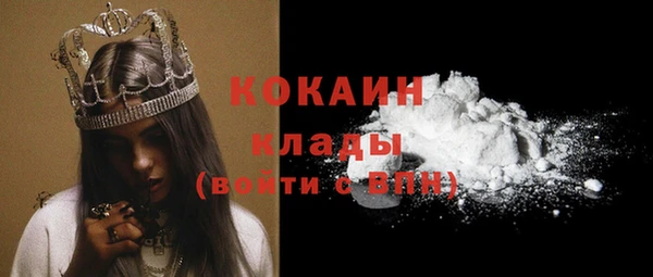 дживик Арсеньев