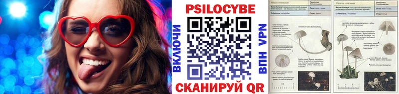 Галлюциногенные грибы Psilocybine cubensis  Ряжск 
